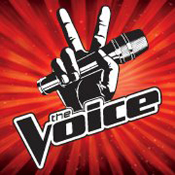 Career lessons from 'The Voice'